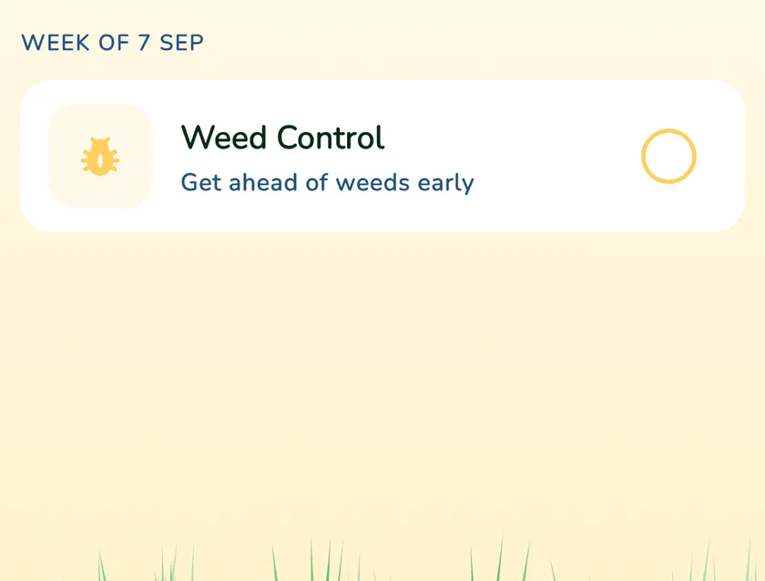 Calendar tasks in the What a Green Lawn app for a lawn in Sydney