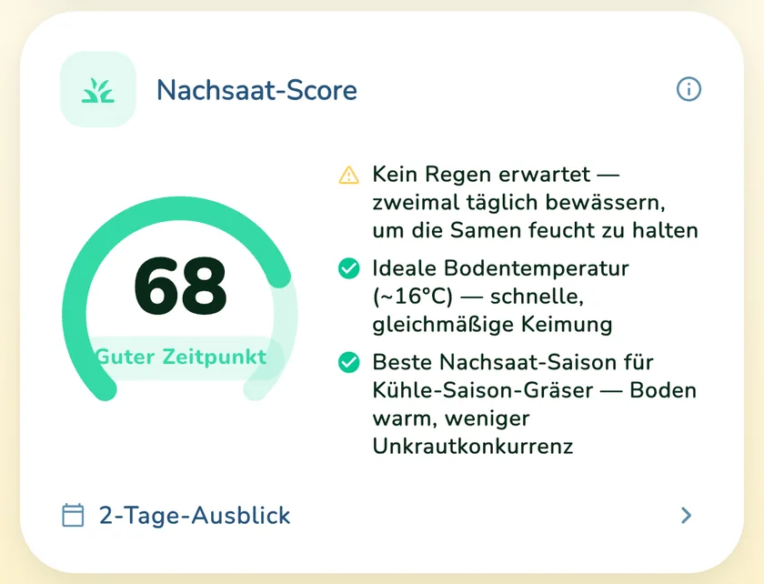 Nachsaat-Score 68 in der App What a Green Lawn für einen Rasen in München