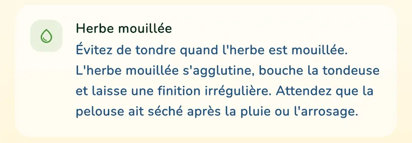 Règle sur l’herbe mouillée dans le détail de la tonte de l’appli What a Green Lawn pour une pelouse à Lyon