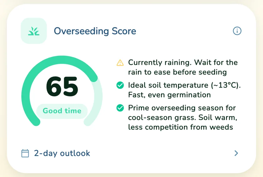 Overseeding Score of 65 in the What a Green Lawn app for a lawn in Manchester