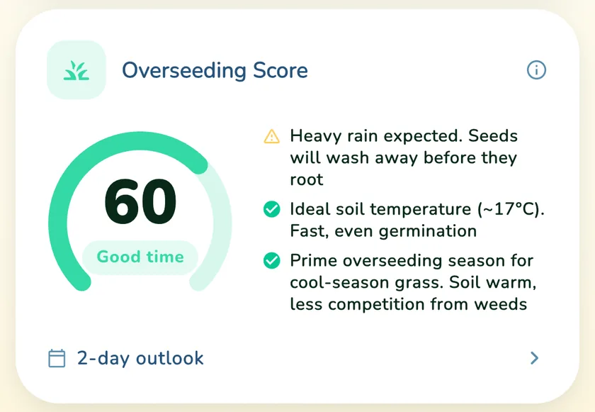 Overseeding Score of 60 in the What a Green Lawn app for a lawn in Chicago