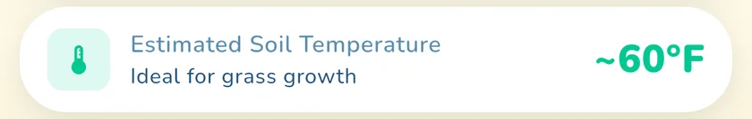 Estimated soil temperature in the What a Green Lawn app for a lawn in Chicago
